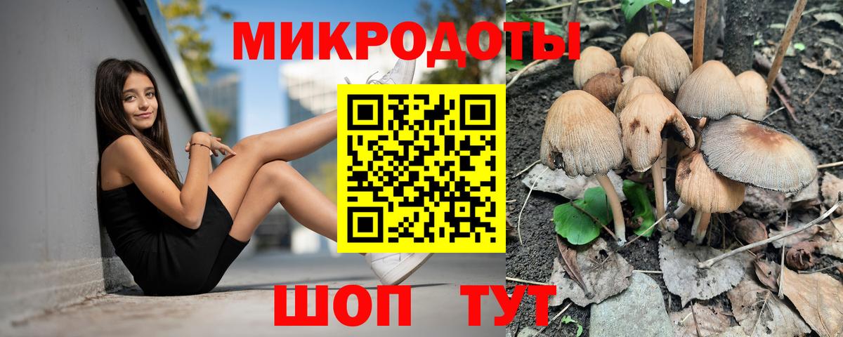 Галлюциногенные грибы мухоморы Карталы